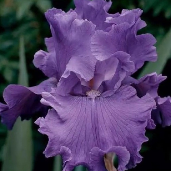 Thank you for visiting my closet - Picture 4 of 16